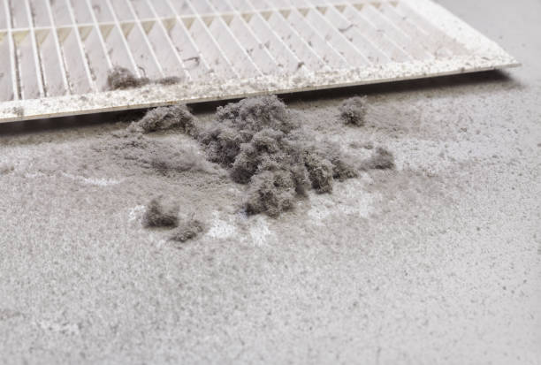 Best Affordable HVAC Duct Cleaning  in Riesel, TX